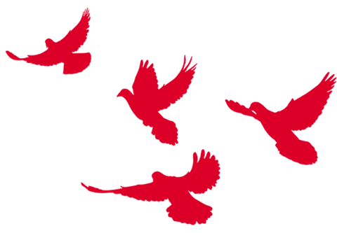 1583079729197798.png 1583079729197798.png